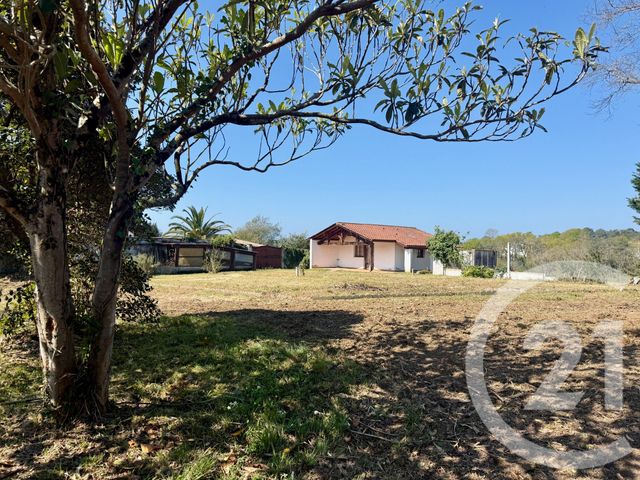 Terrain &agrave; vendre - 1325 m2 - Bidart - 64 - AQUITAINE