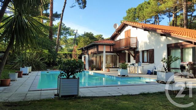  - SOORTS HOSSEGOR - 
