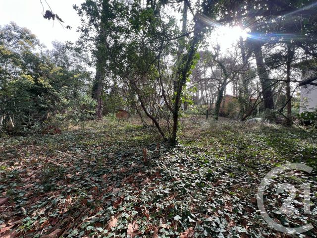 Terrain à vendre - 622 m2 - Capbreton - 40 - AQUITAINE