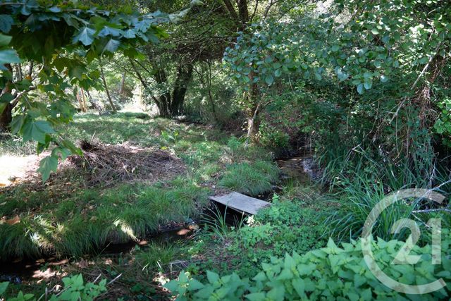 Afficher la photo en grand Maison à vendre - 8 pièces - 178,50 m2 - Benesse Maremne - 40 - AQUITAINE