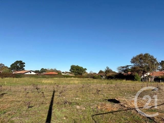 Terrain à vendre SEIGNOSSE