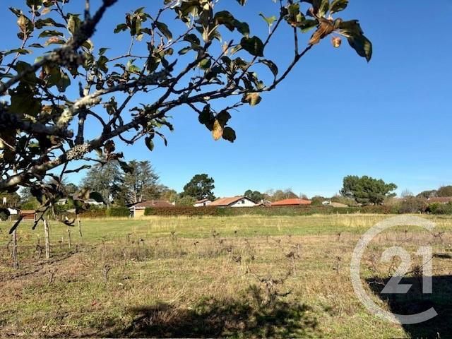 Terrain à vendre SEIGNOSSE