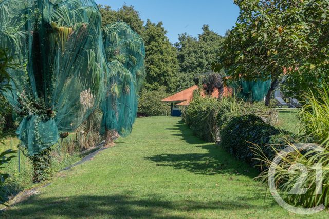 Maison &agrave; vendre - 7 pi&egrave;ces - 217 m2 - Benesse Maremne - 40 - AQUITAINE