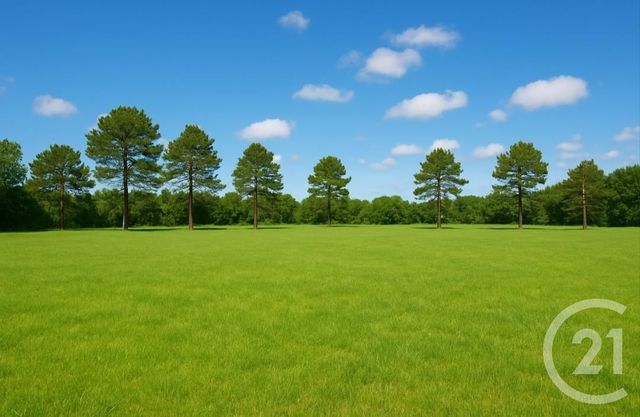 terrain - ST GEOURS DE MAREMNE - 40
