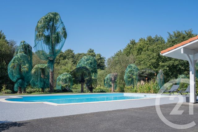 Afficher la photo en grand Maison à vendre - 8 pièces - 178,50 m2 - Benesse Maremne - 40 - AQUITAINE