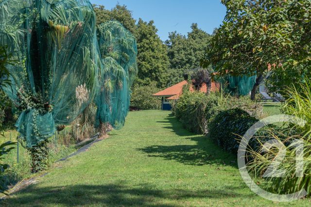 Afficher la photo en grand Maison à vendre - 8 pièces - 178,50 m2 - Benesse Maremne - 40 - AQUITAINE