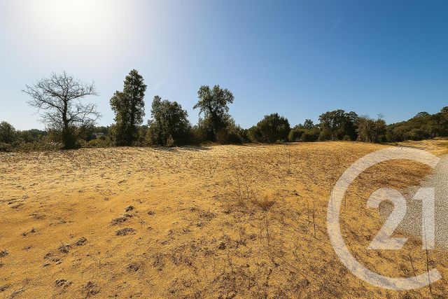 Terrain &agrave; vendre - 732 m2 - Labenne - 40 - AQUITAINE
