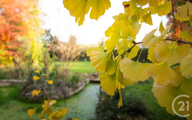 Afficher la photo en grand Maison à vendre - 7 pièces - 184,15 m2 - Bayonne - 64 - AQUITAINE